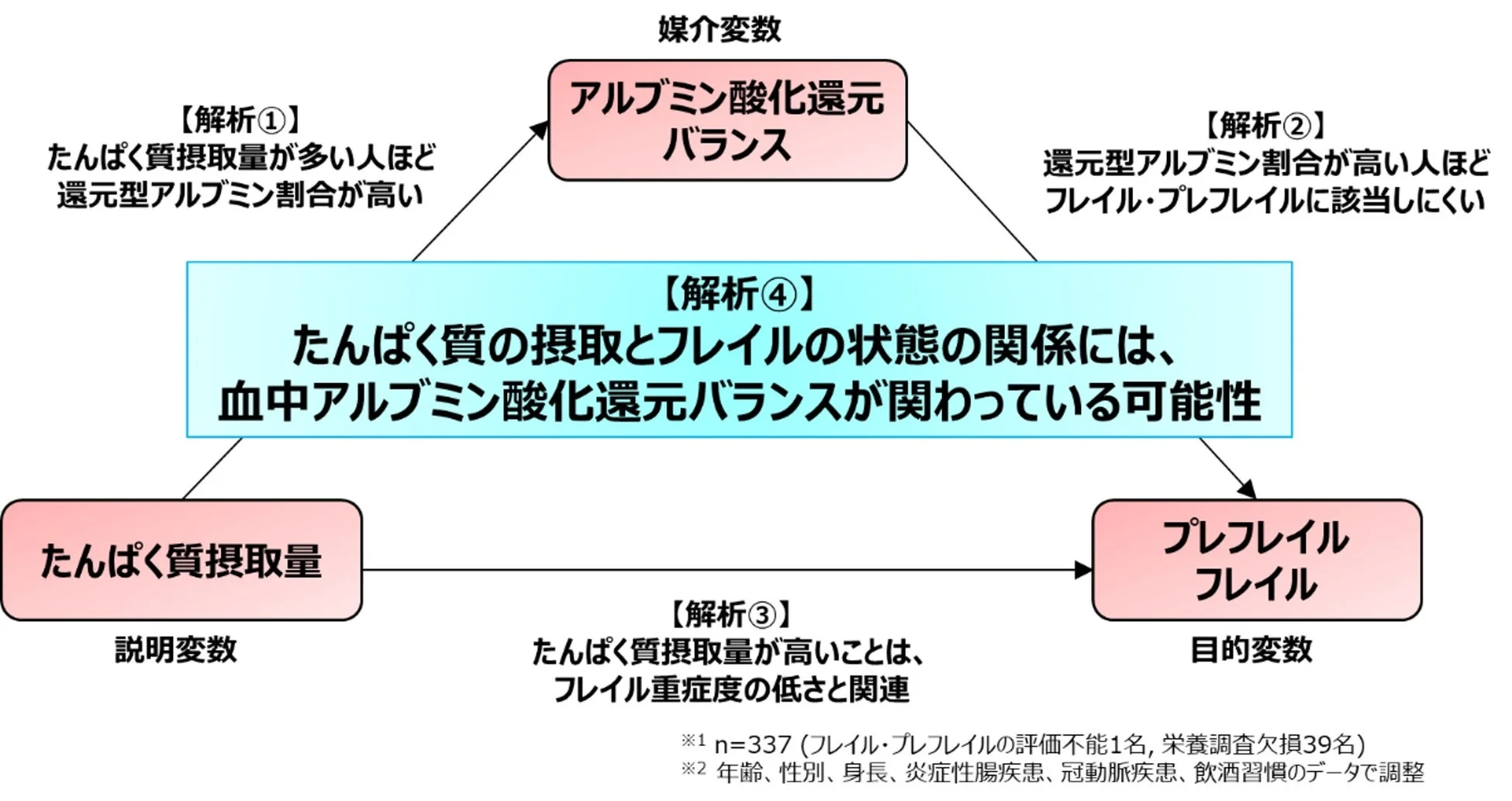 たんぱく質の摂取と血中栄養指標、およびプレフレイル・フレイルの関係性