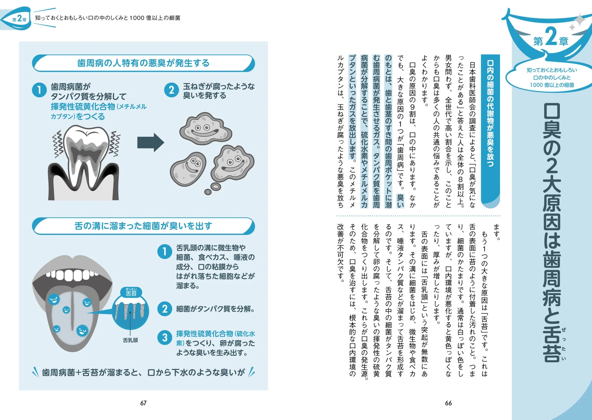 口臭の原因