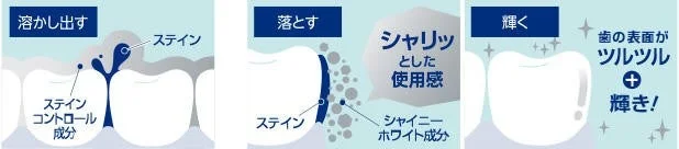 ステイン除去のメカニズム