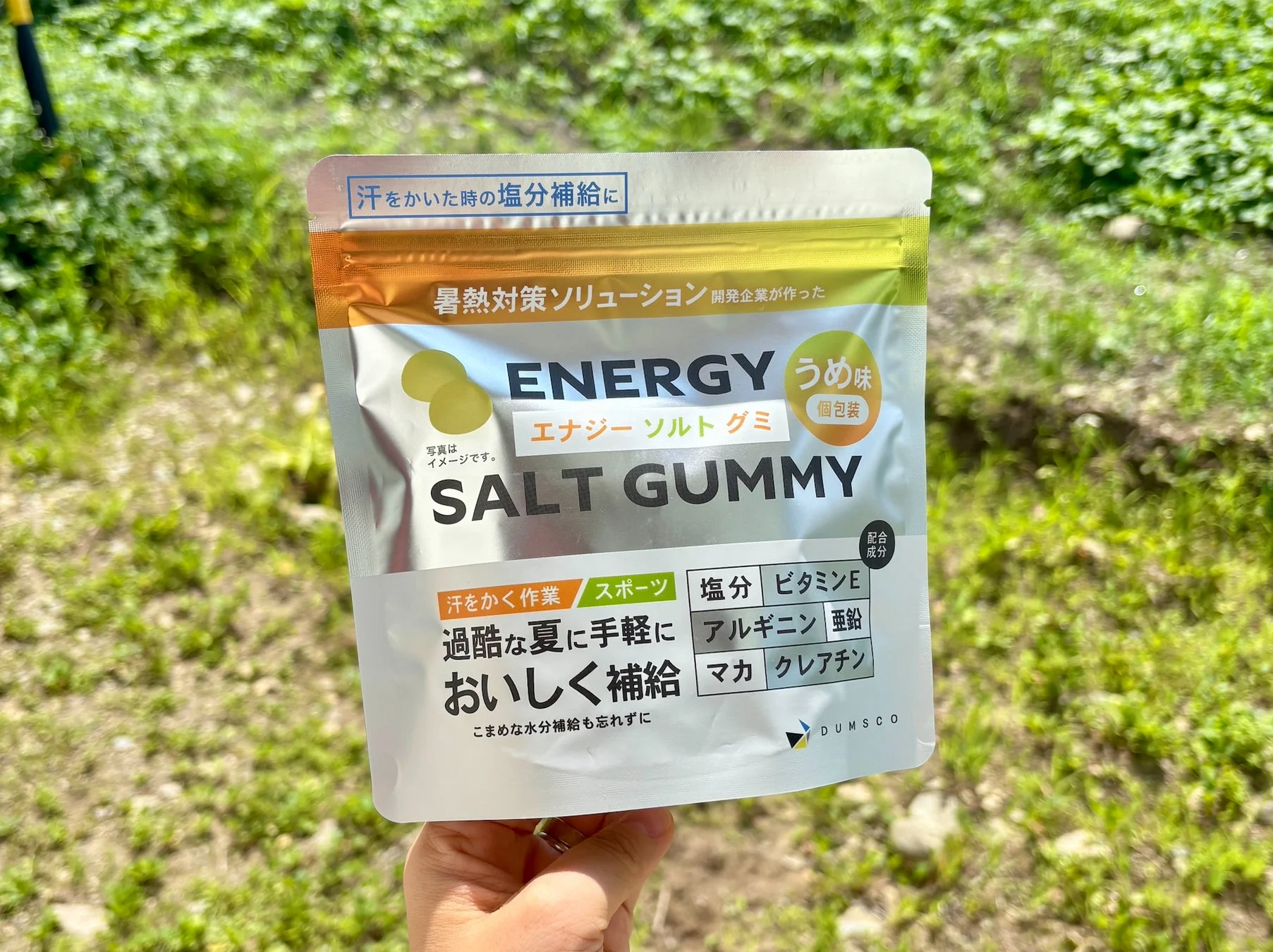 エナジーソルトグミ