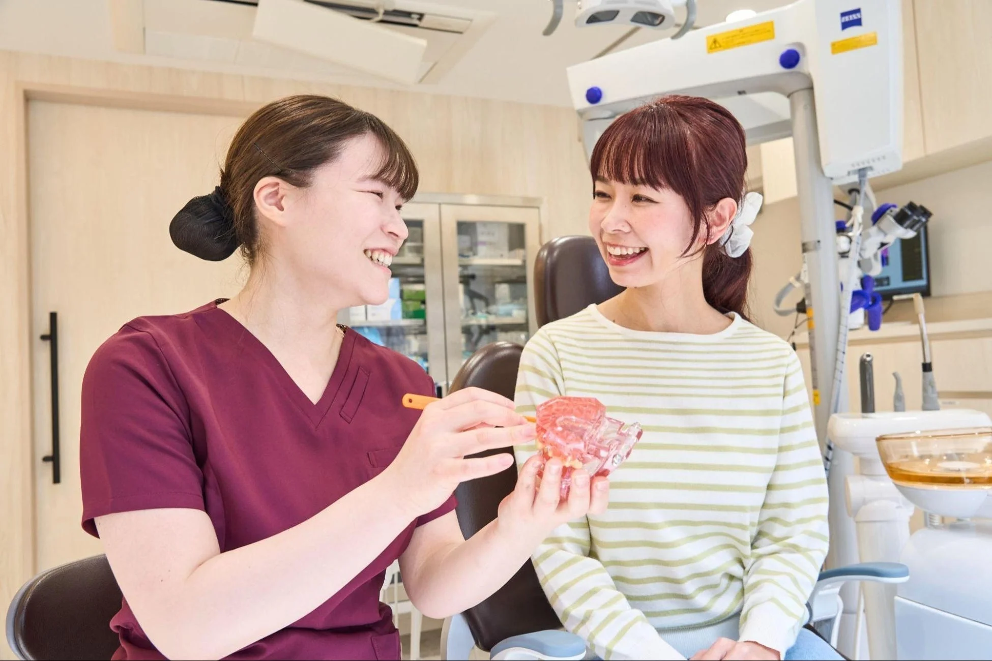 歯科スタッフが患者に歯の模型で説明している様子
