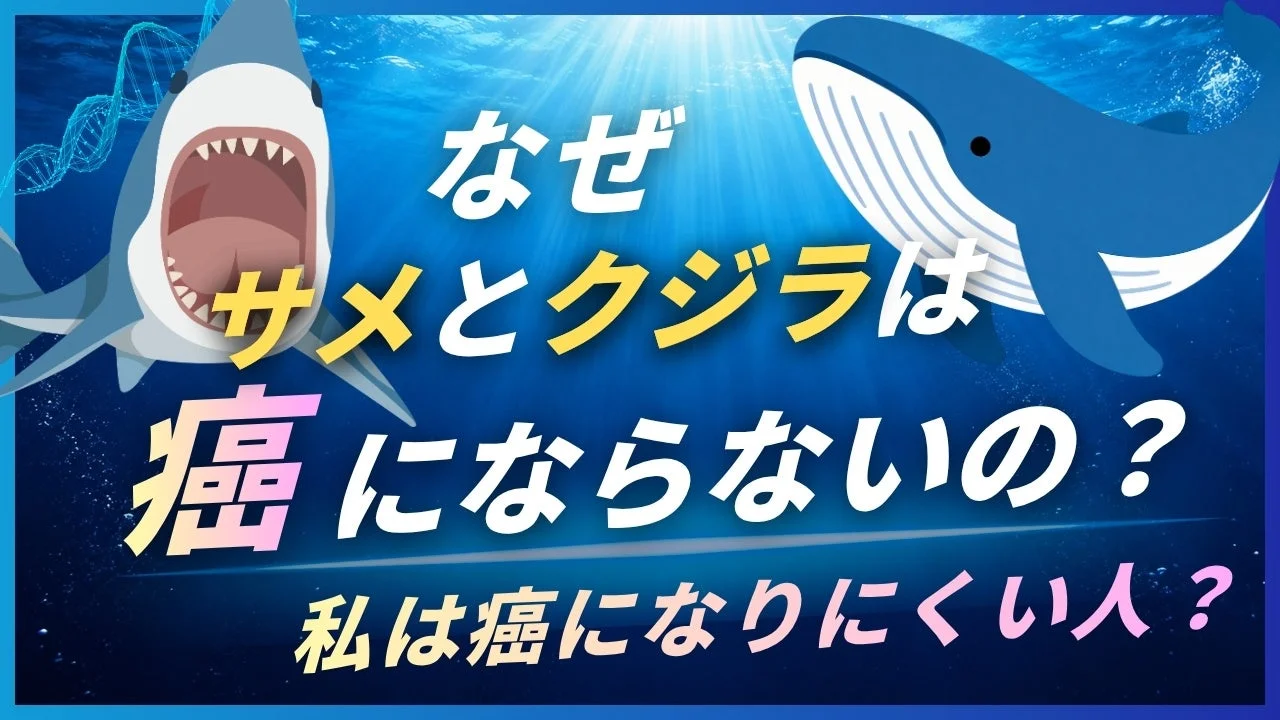 サメとクジラは、なぜ癌にならないの？