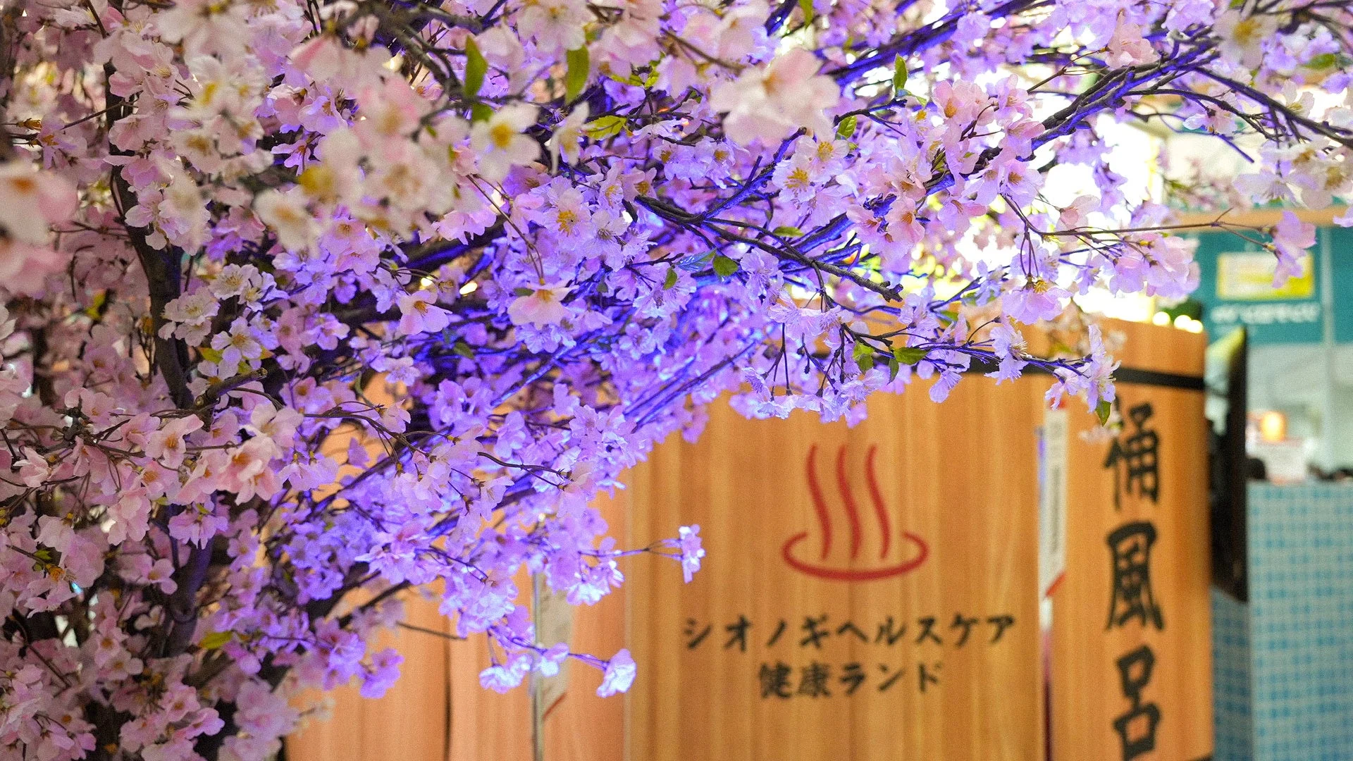 ライトアップされた桜と健康ランドの看板