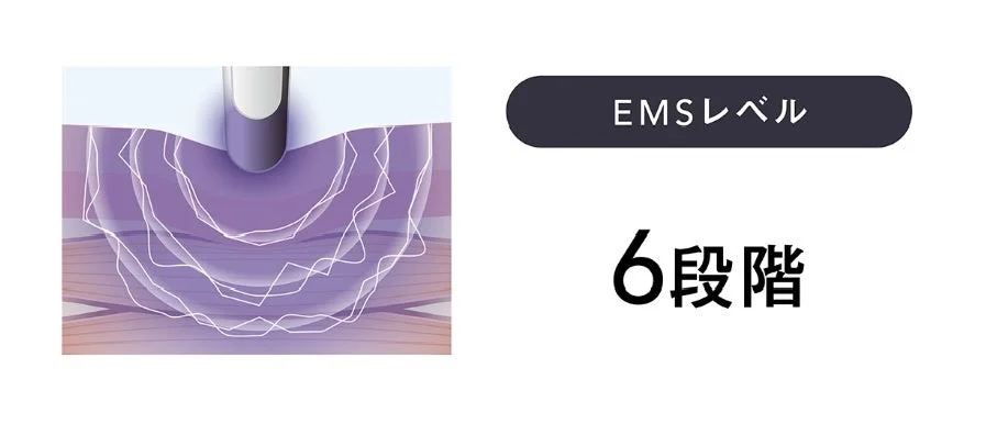 EMSレベル6段階の説明画像