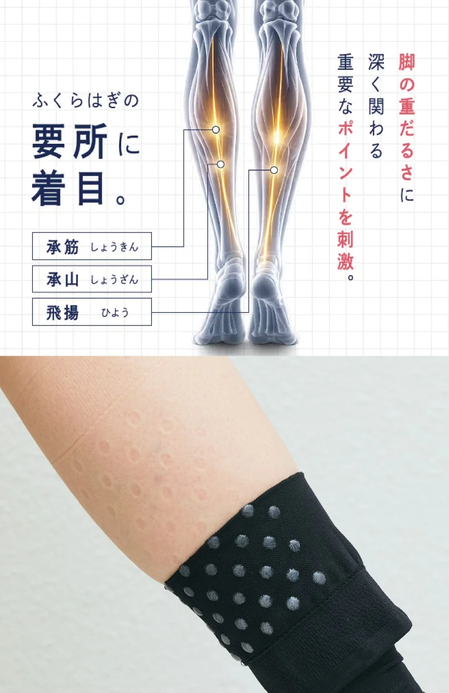 ふくらはぎの要所に着目した図