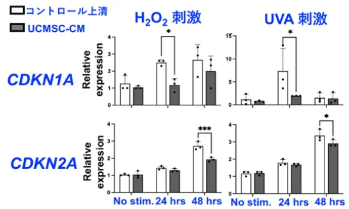 遺伝子発現のグラフ