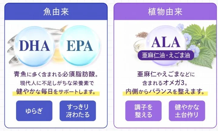 魚由来と植物由来のオメガ3脂肪酸の説明
