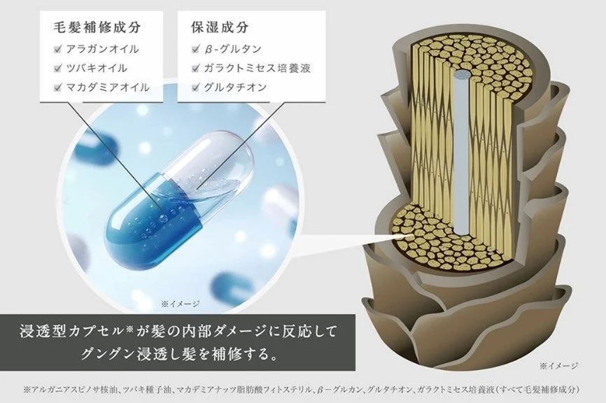 髪の内部ダメージを補修する浸透型カプセルの働きと、その中に含まれる毛髪補修成分と保湿成分を図で説明