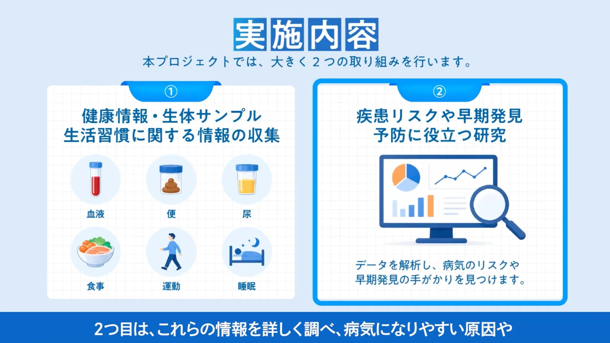 実施内容