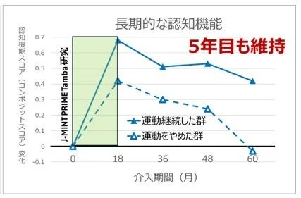 運動の継続が長期的な認知機能に与える影響を示すグラフ