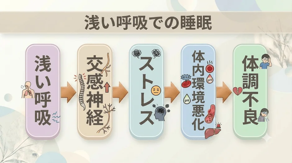 浅い呼吸での睡眠 浅い呼吸 交感神経 ストレス 体内環境悪化 体調不良