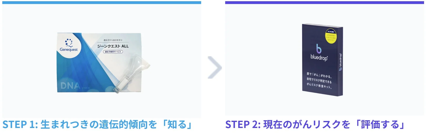 遺伝子検査とがんリスク検査の連携