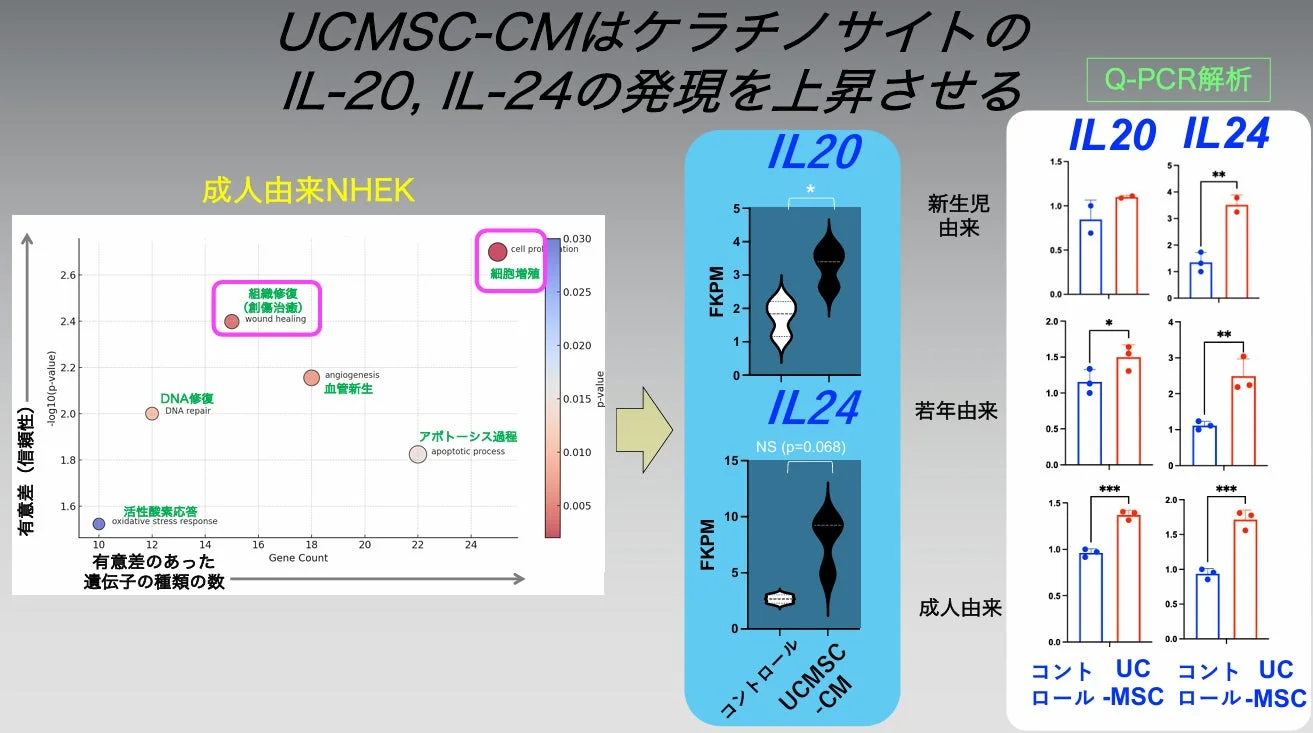 Q-PCR解析(GO解析)の結果
