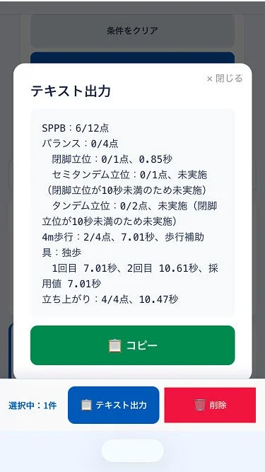 SPPB評価結果のテキスト出力画面