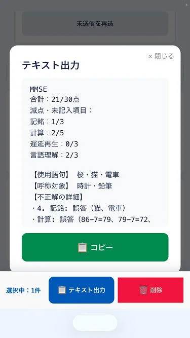 MMSE評価結果のテキスト出力画面